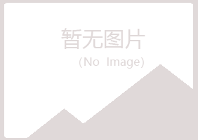 北海银海紫山化学有限公司